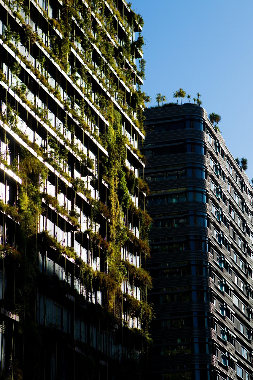 découvrez le design web durable : alliez esthétique et responsabilité écologique en créant des sites internet respectueux de l'environnement. apprenez des stratégies et des meilleures pratiques pour un web plus vert.
