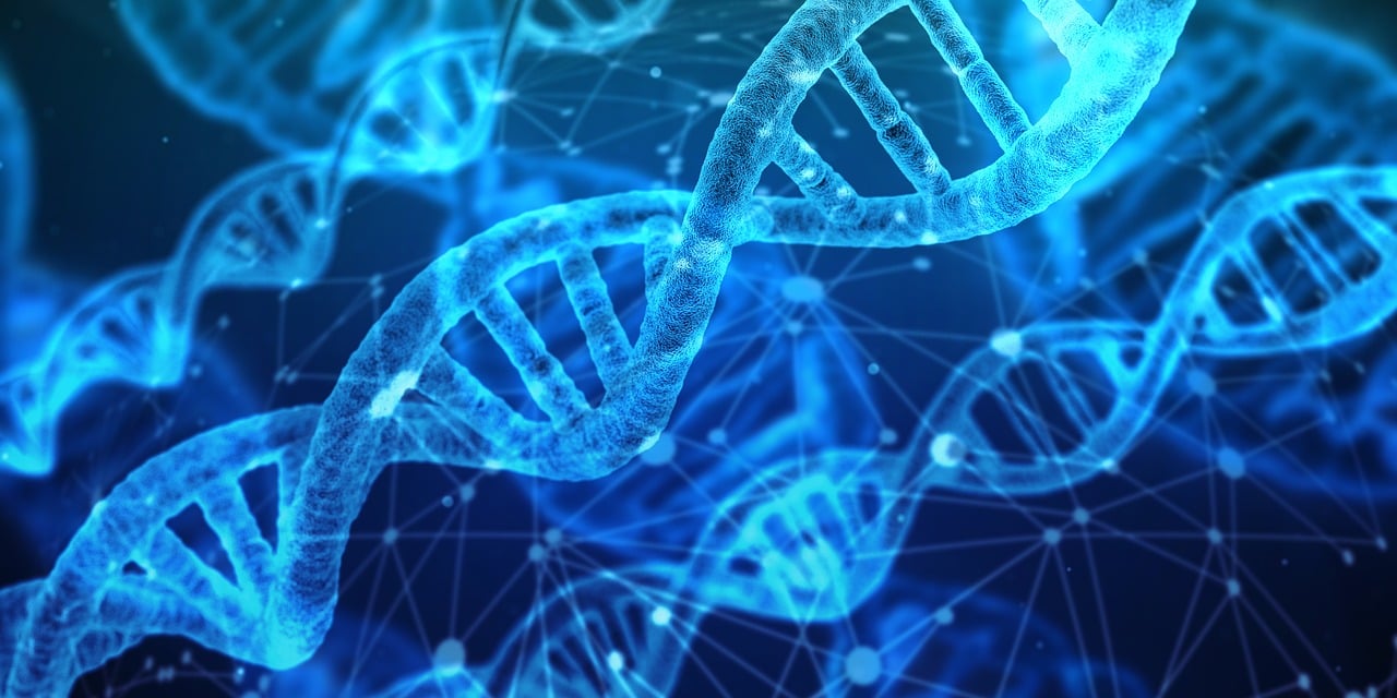 découvrez les dernières innovations technologiques qui transforment notre monde, améliorent la vie quotidienne et révolutionnent les secteurs clés de l'industrie.