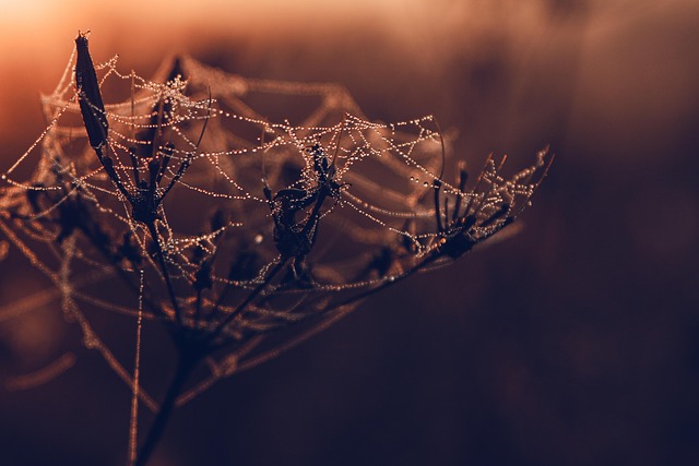 Webpack en 2025 : comprendre et optimiser la gestion de vos assets web